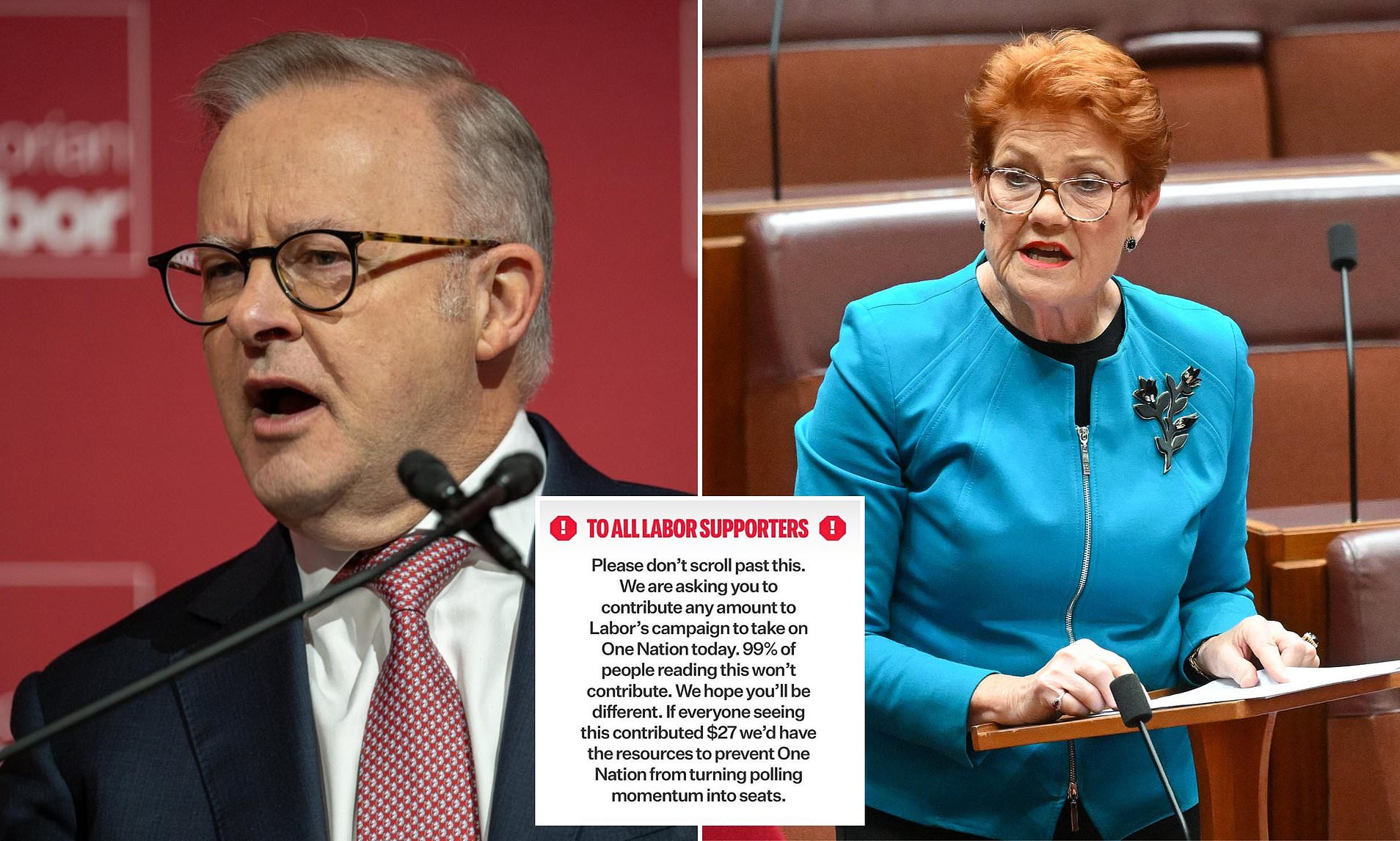 Labor sounds the alarm over One Nation surge as party begs supporters ...