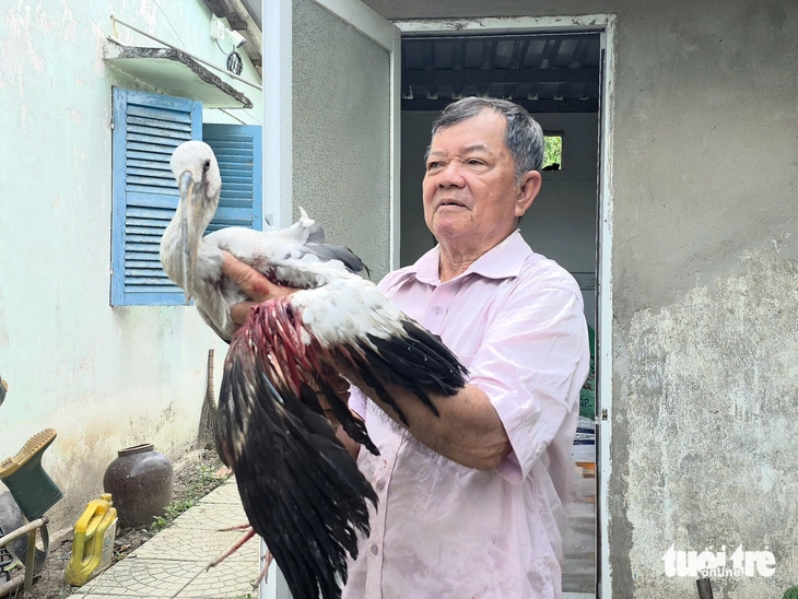 Chủ tịch tỉnh Vĩnh Long yêu cầu xử lý nghiêm nạn săn bắt chim hoang dã tại vườn chim Hai Chìa