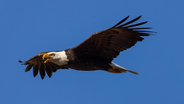 https://img-s-msn-com.akamaized.net/tenant/amp/entityid/AA23YYwb.img?w=640&h=360&m=4&q=88