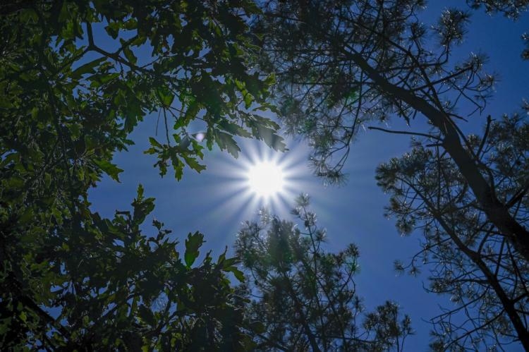 Vague de chaleur : la vigilance jaune pour canicule étendue à 18 ...