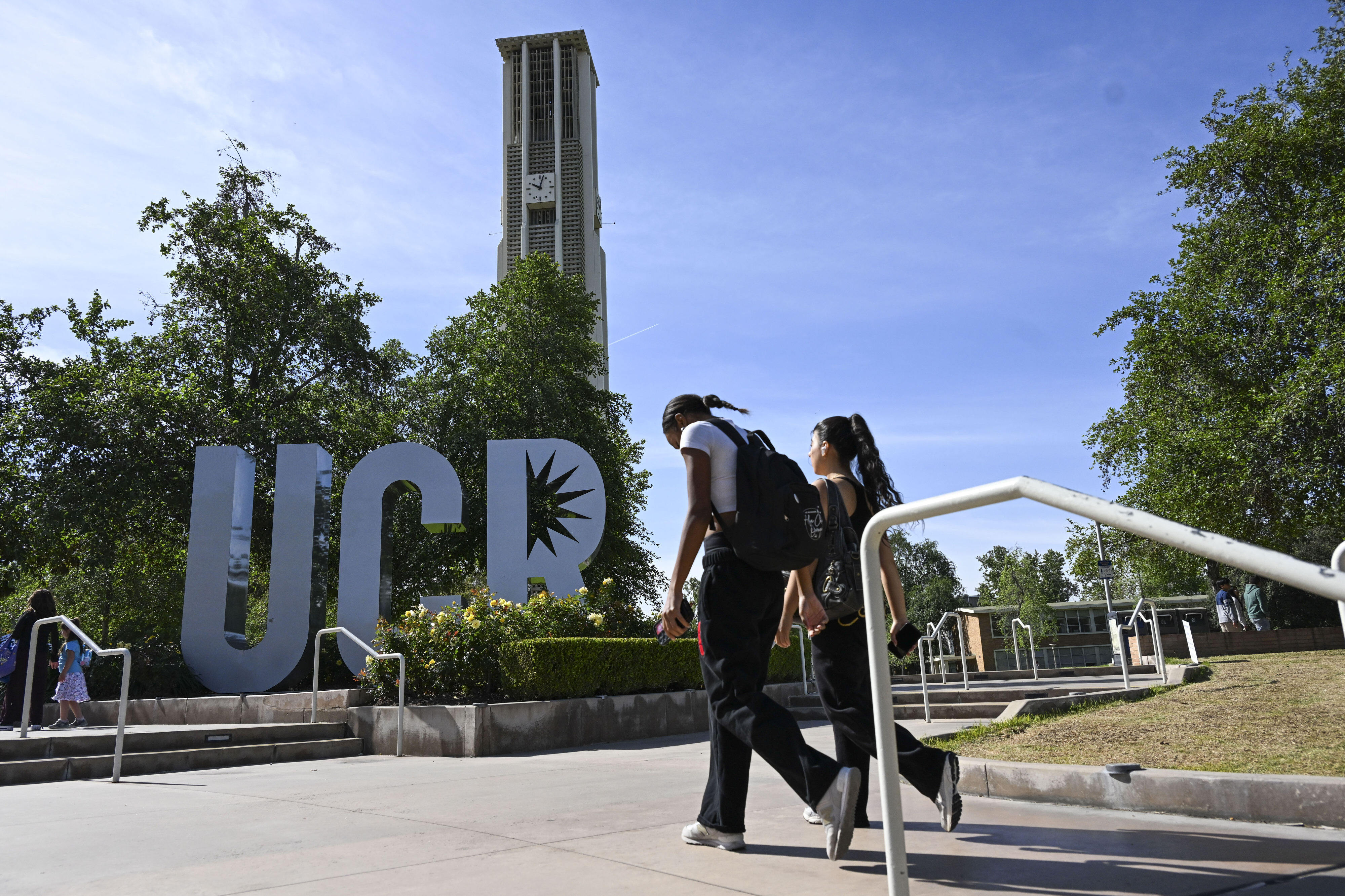 Death of research hummingbird at UC Riverside triggers third animal ...