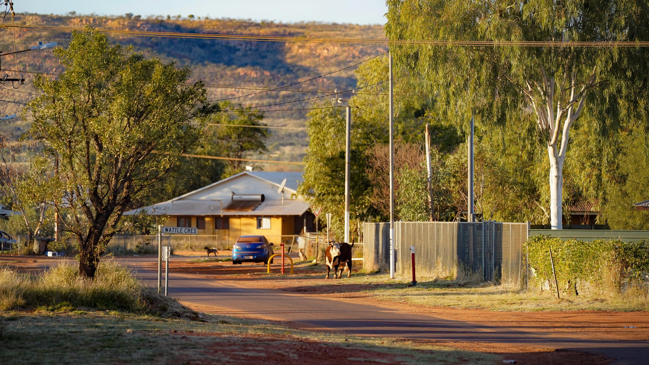 Yuendumu residents frustrated with lack of NT government diphtheria ...