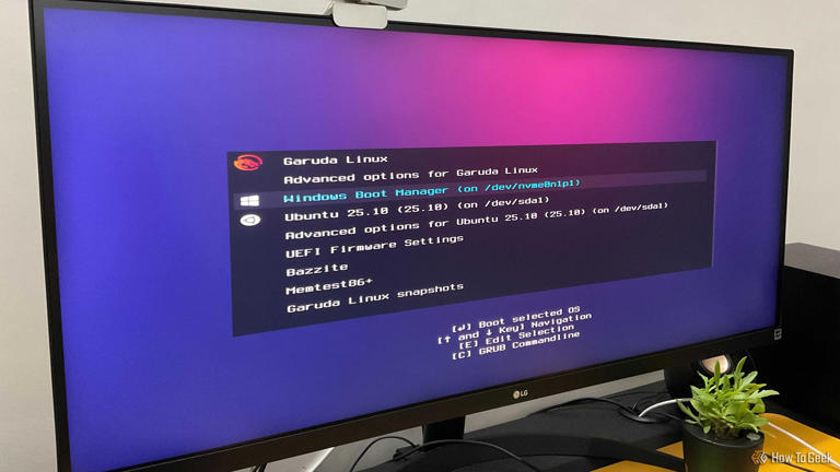 Linux containers now run natively on Windows via WSL