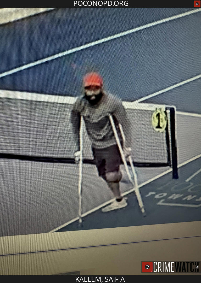 Petulant pickler cut pickleball nets at Pennsylvania parks because ...