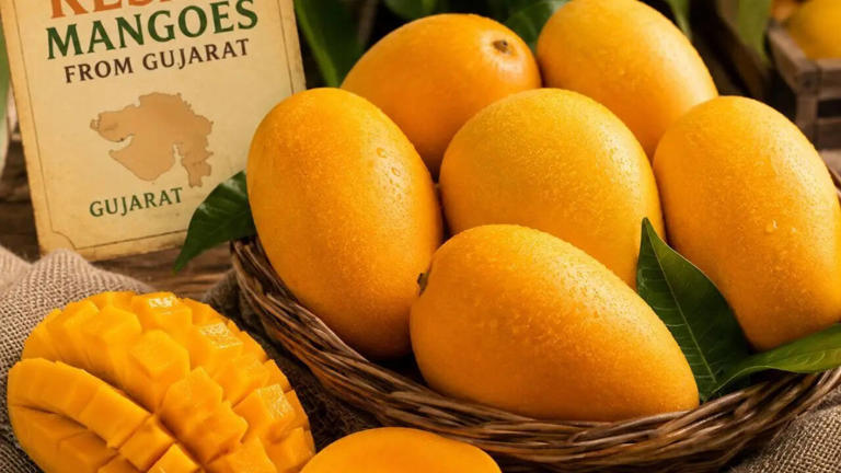 How Gujarat’s Kesar mangoes became a seasonal favourite in London Heathrow