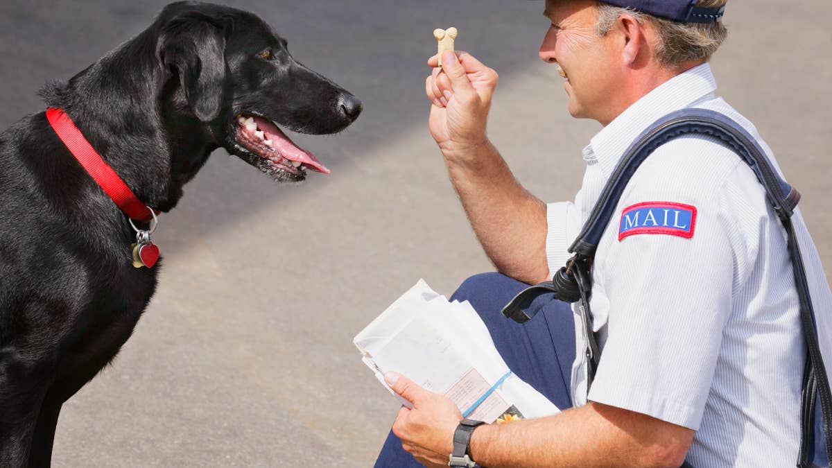 This mailman and a neighborhood dog have the ultimate best friend goals