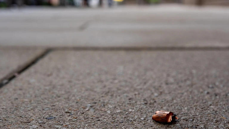 Bystander in serious condition after shooting incident near White House