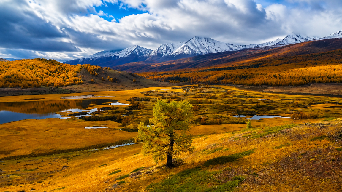 The last golden valley before winter takes everything