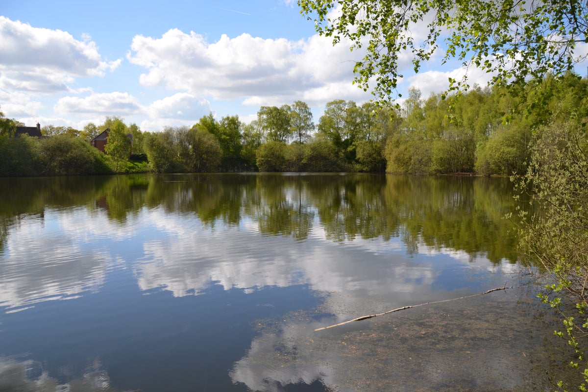 Teenage boy's body found after he went missing swimming in lake