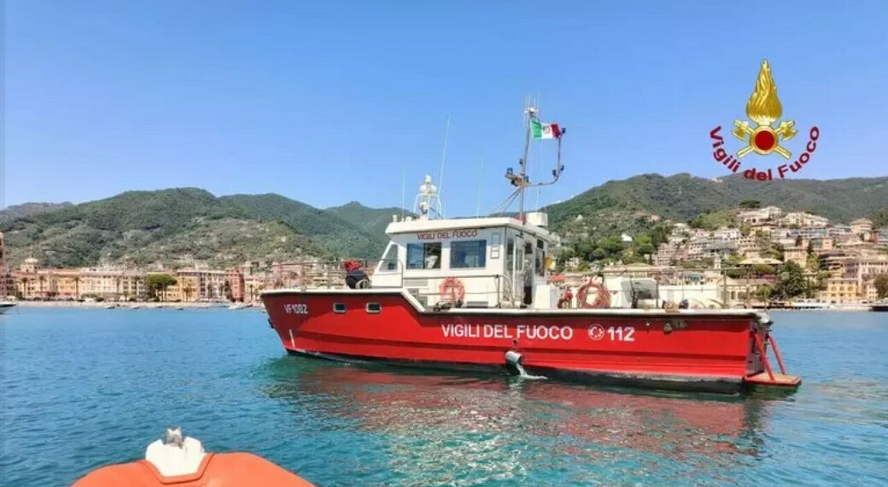 Sciame d'api assalta barca a vela a Rapallo: equipaggio si salva ...
