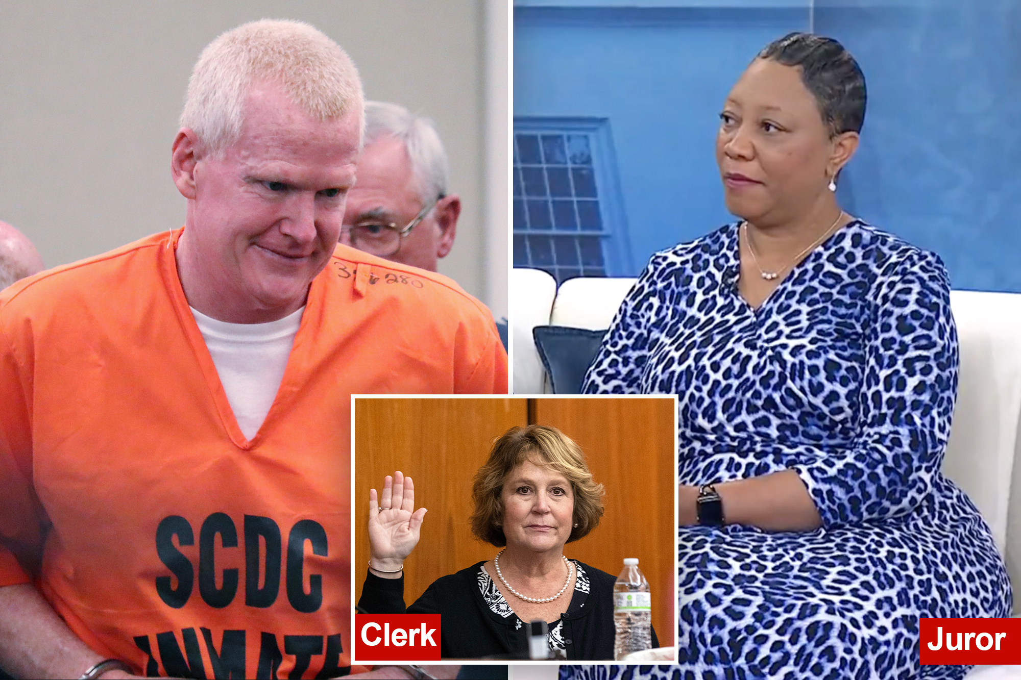 Juror in Alex Murdaugh double murder trial speaks out on court’s 'crazy ...