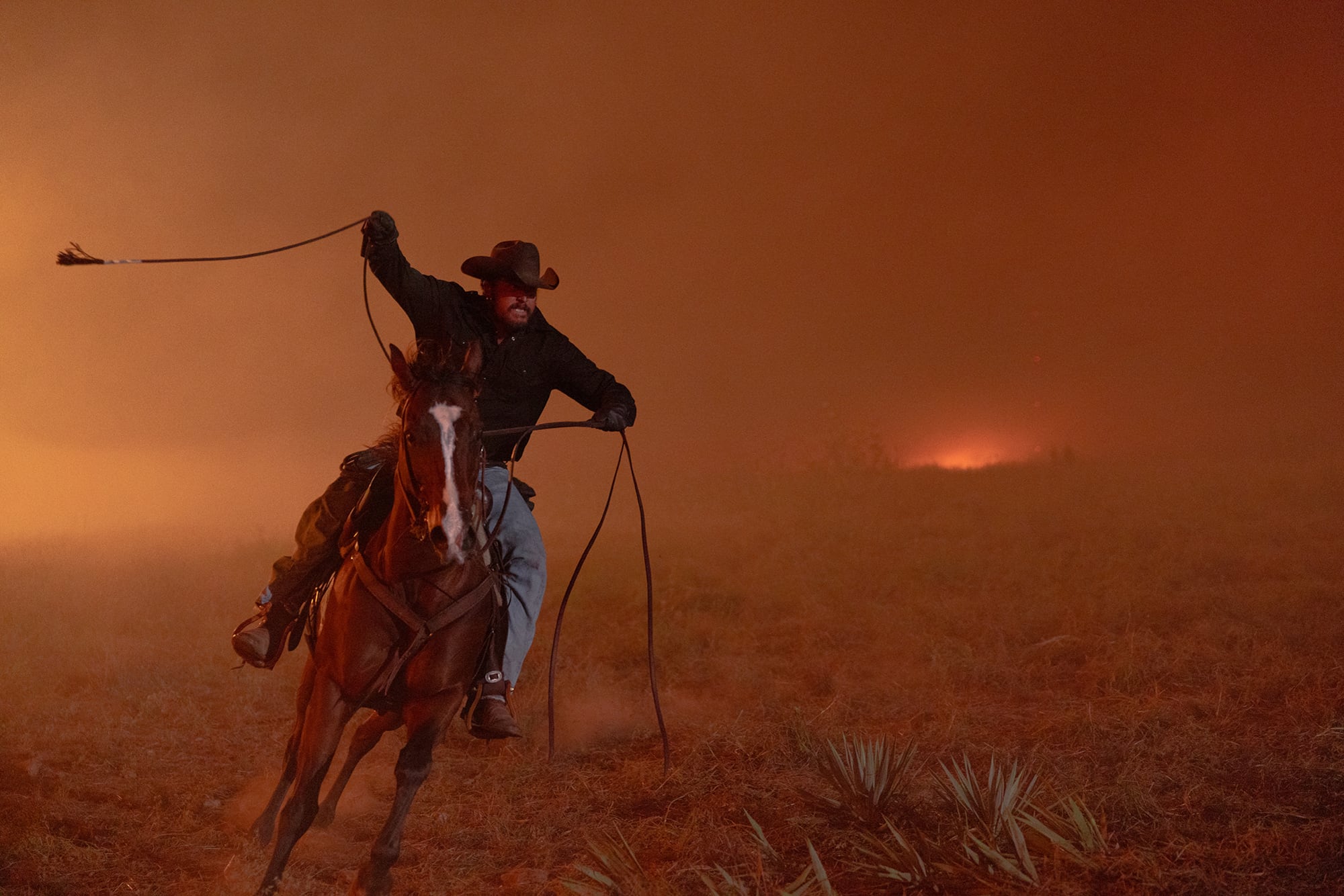 Cole Hauser as Rip Wheeler. / Lauren “Lo” Smith/Paramount+