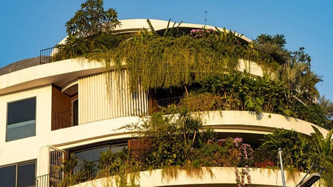 Picture of The 'cool roof garden' trend taking over Indian apartments: Here's how ...