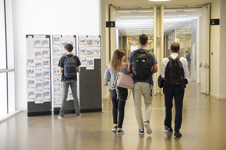 Com uma garrafa, Católica Students Consulting quer reforçar ...