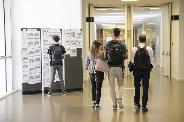 Com uma garrafa, Católica Students' Consulting quer reforçar ...