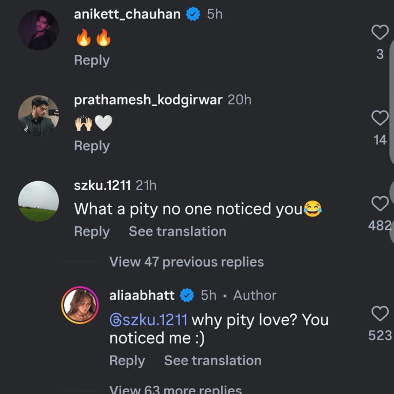Alia Bhatt hits back at troll.
