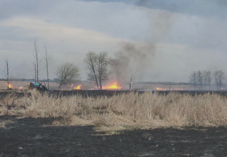 Lightning strike sparks grass fire in McKenzie