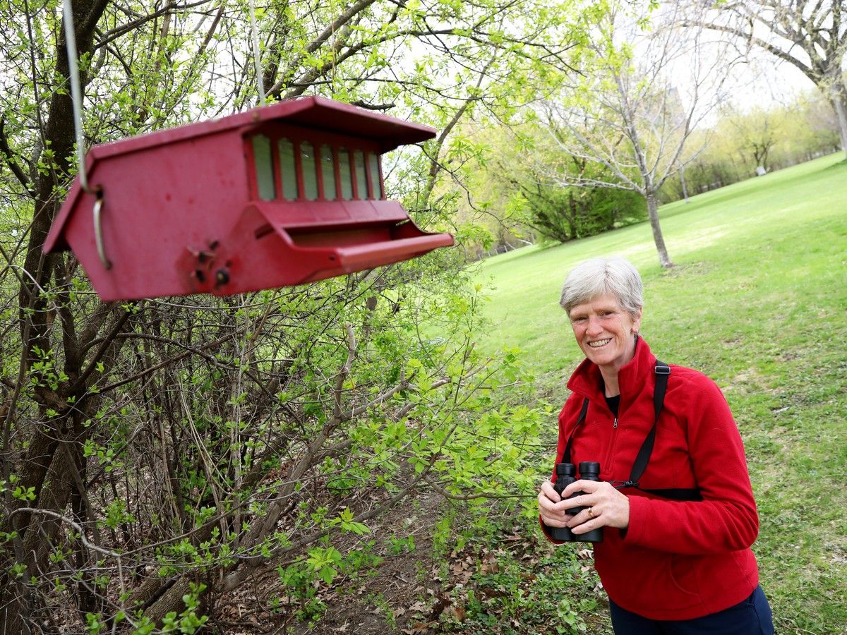 How Ottawa became certified as a 'bird friendly' city