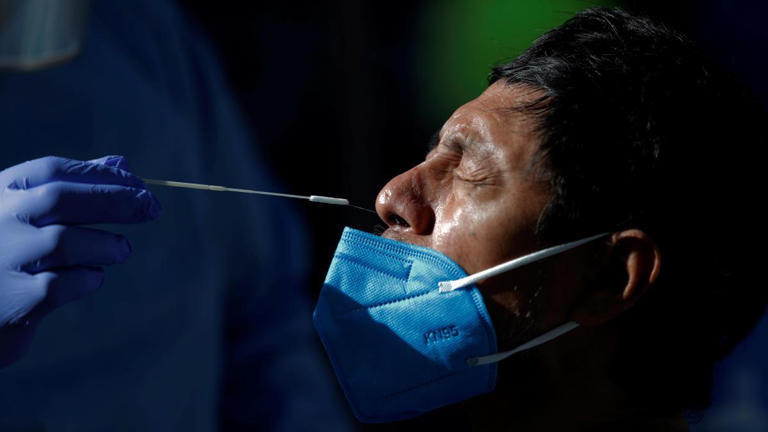 La OMS recalcula y triplica el número de muertos por la pandemia ...