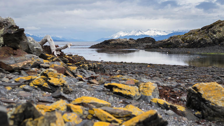 Perché la discarica di Ushuaia è diventata la meta preferita di chi fa ...