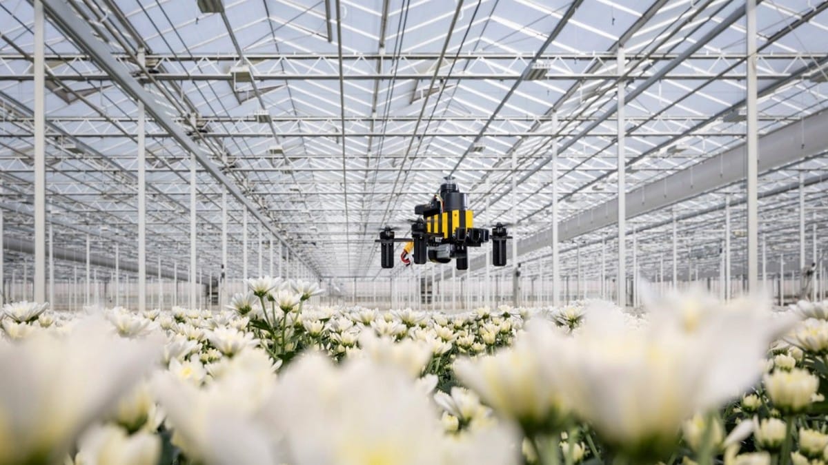 Tiny drones have a GPS problem. Dutch study turned to bees to solve it