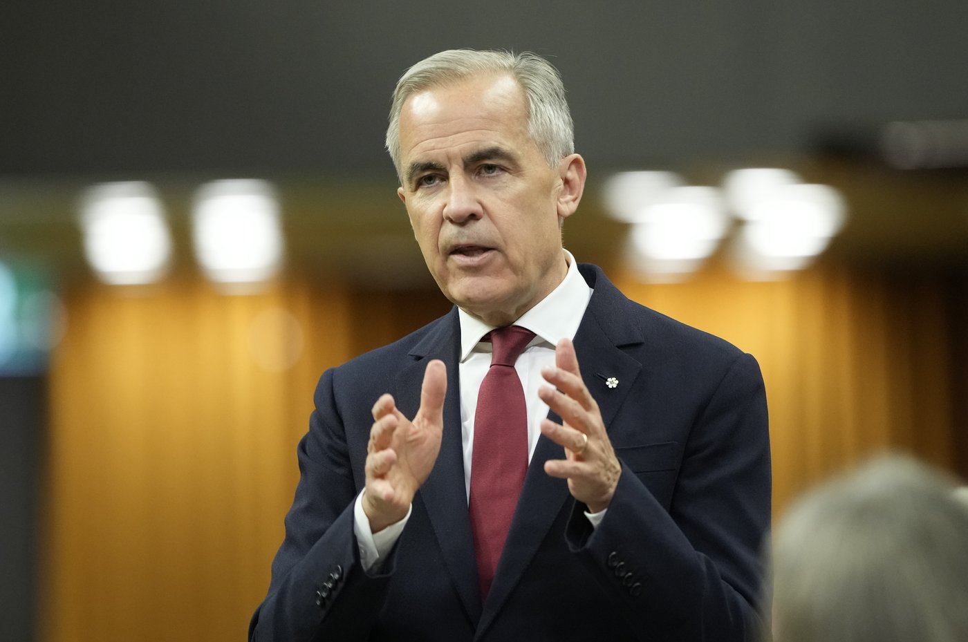 Carney pushes new clean electricity strategy to expand grid, lower costs