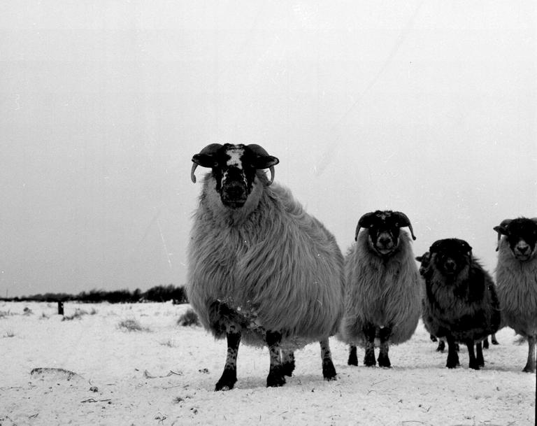 Balerno heritage in pictures: Here are 18 fascinating photographs of ...
