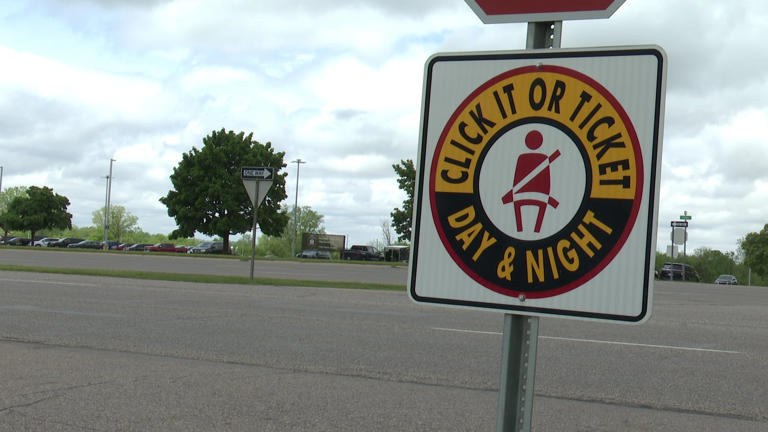 Michigan police launch 'Click It or Ticket' seat belt enforcement campaign