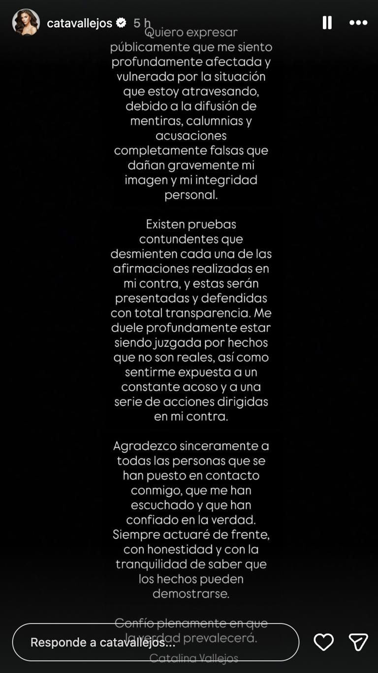 “Dañan gravemente mi imagen”: Cata Vallejos en shock tras querella por ...