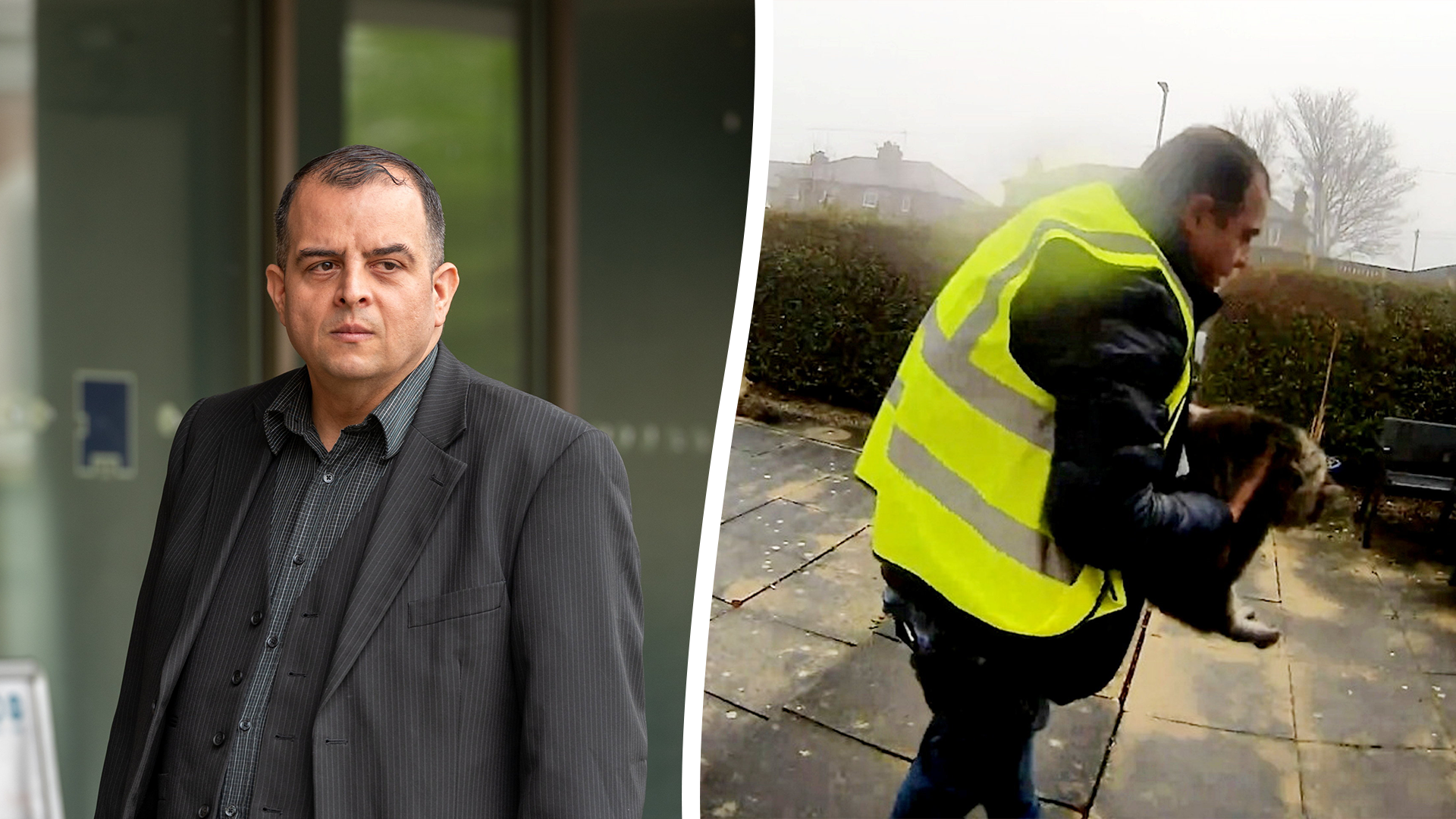 Delivery driver who stole a customers cat gets suspended jail term