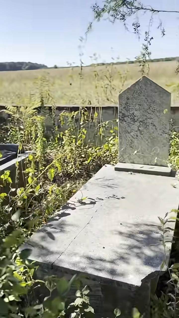 Grave of Gen. Peter Corbin Chambliss — a soldier under Andrew Jackson ...