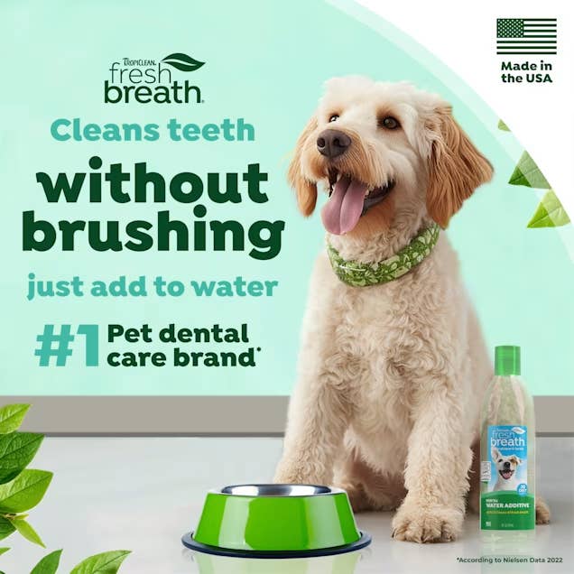 Dog with a green collar next to a water bowl and pet dental care product. Text: