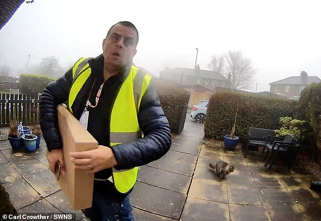 Amazon driver caught on Ring doorbell stealing family's cat while ...