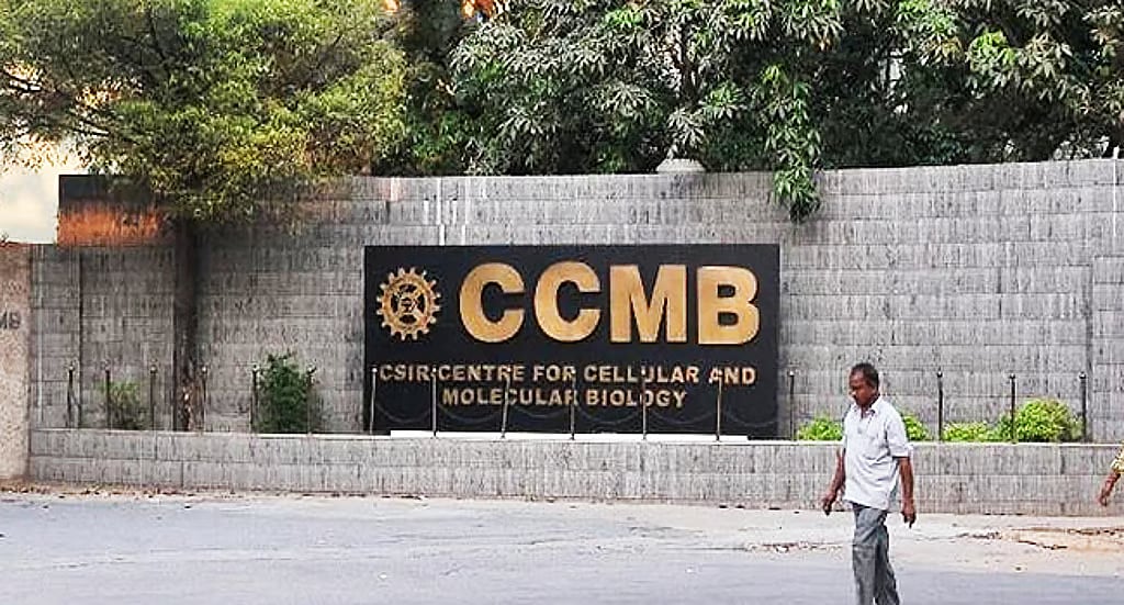CCMB scientists identify plant protein with potential in dementia and ...