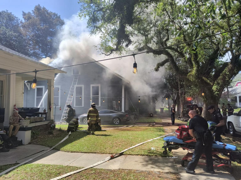Mobile house fire: Two dogs found dead, one person injured