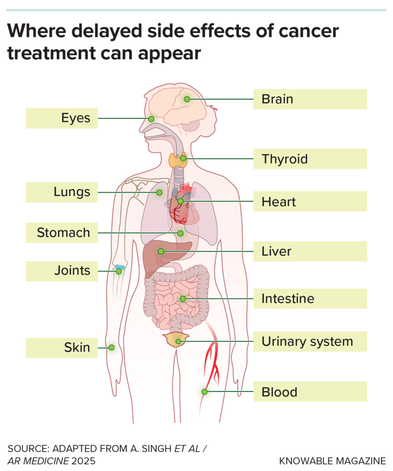 Life after cancer treatment is different. So are the health needs.