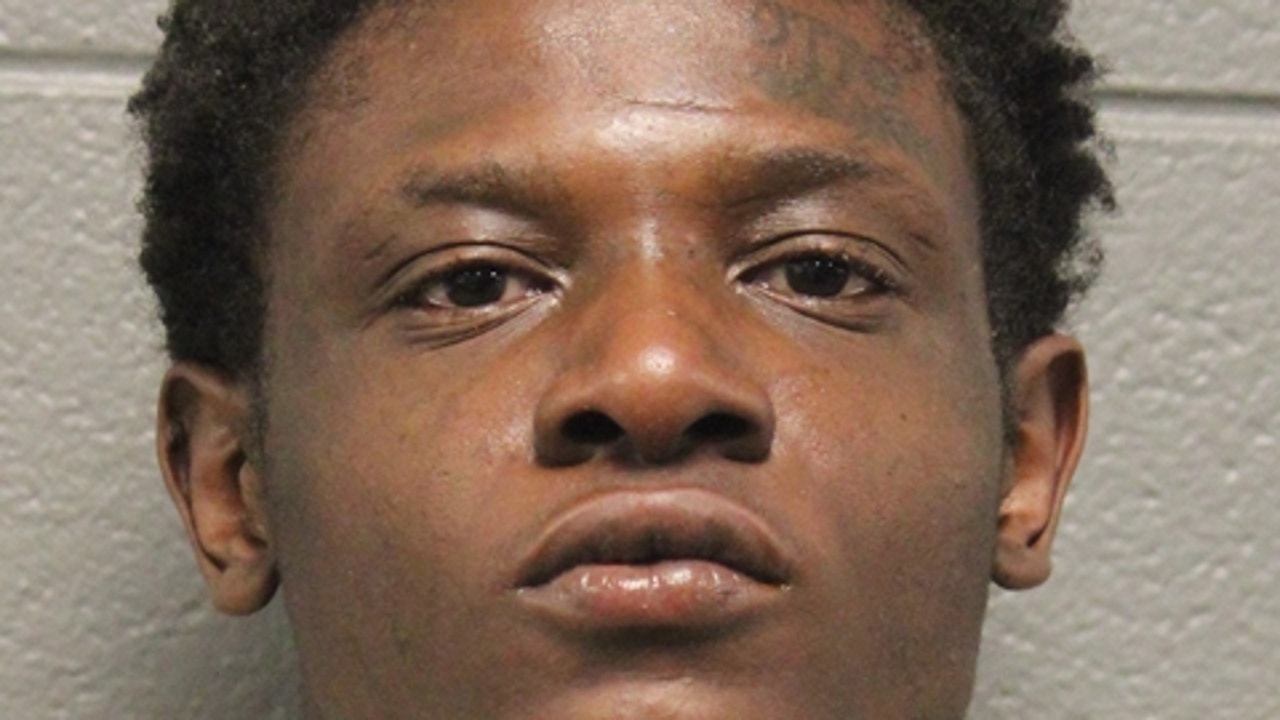 Chicago man charged in two armed robberies, business theft