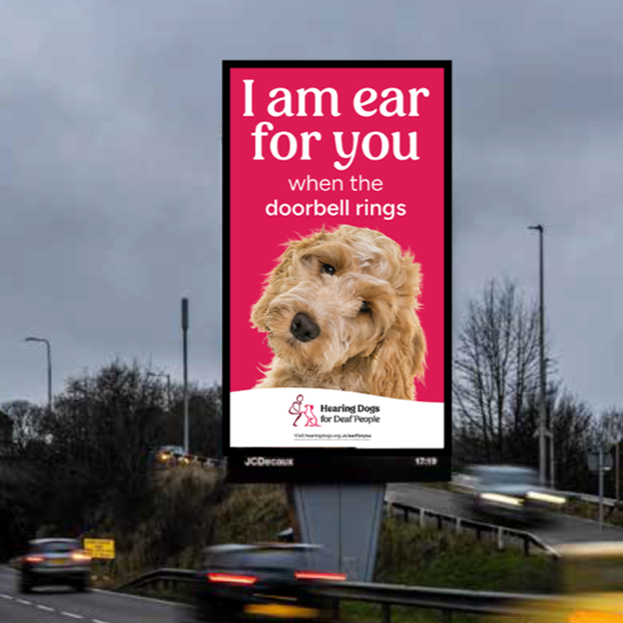 Hearing dogs campaign comes to Leeds