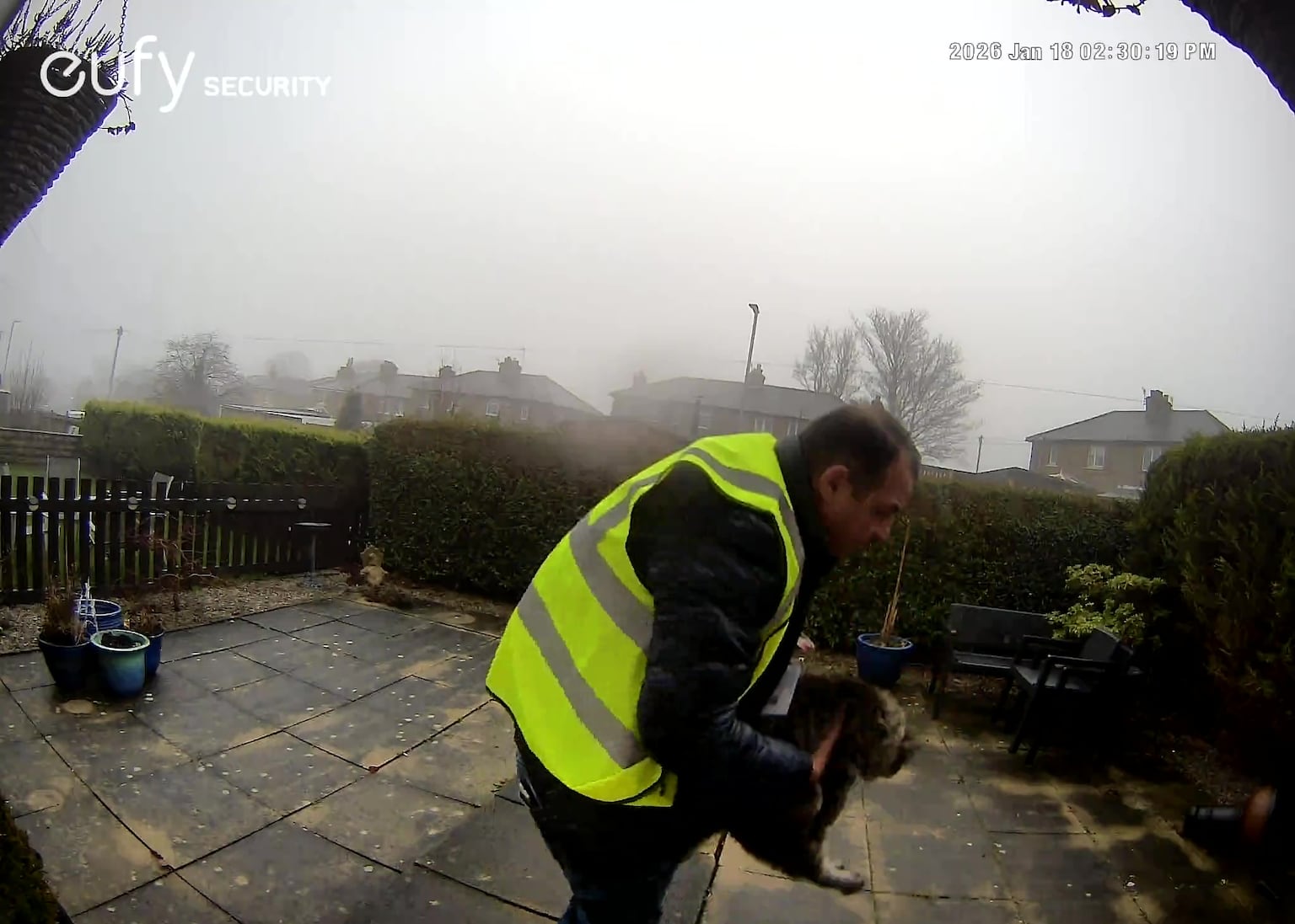 Delivery driver caught on doorbell camera taking pet cat from garden ...