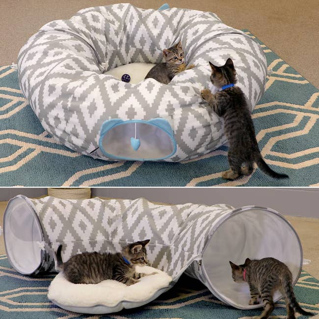 Two kittens play on and around a patterned cat bed and tube set. One kitten rests inside, while the other explores the attached tunnel