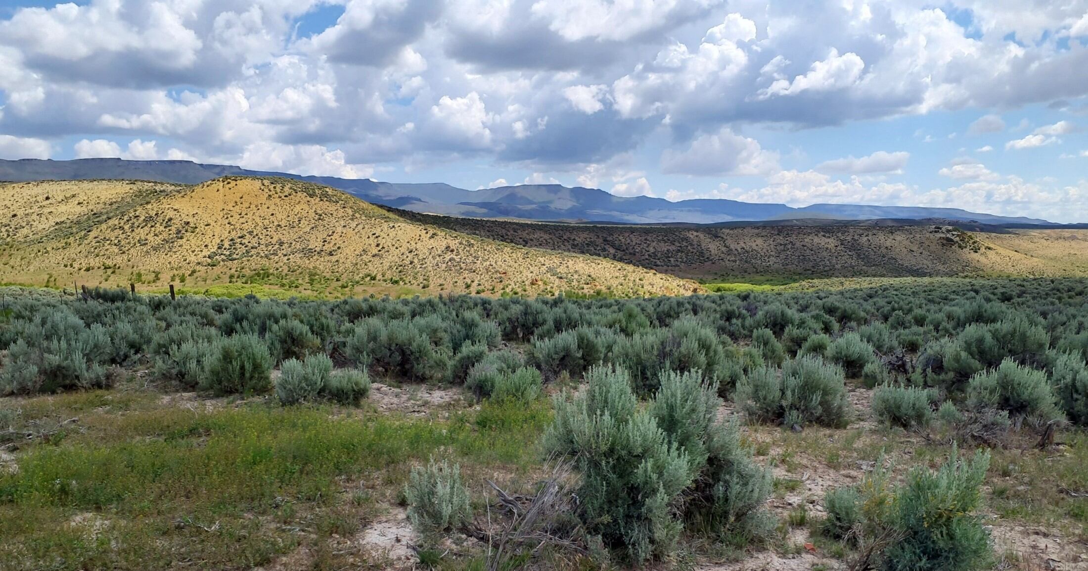 Feds officially cancel conservation rule for public lands