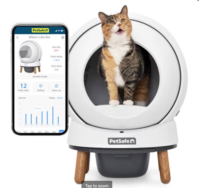 Cat inside a smart litter box with a mobile app display. Logs cleanings and usage with modern tech for pet care