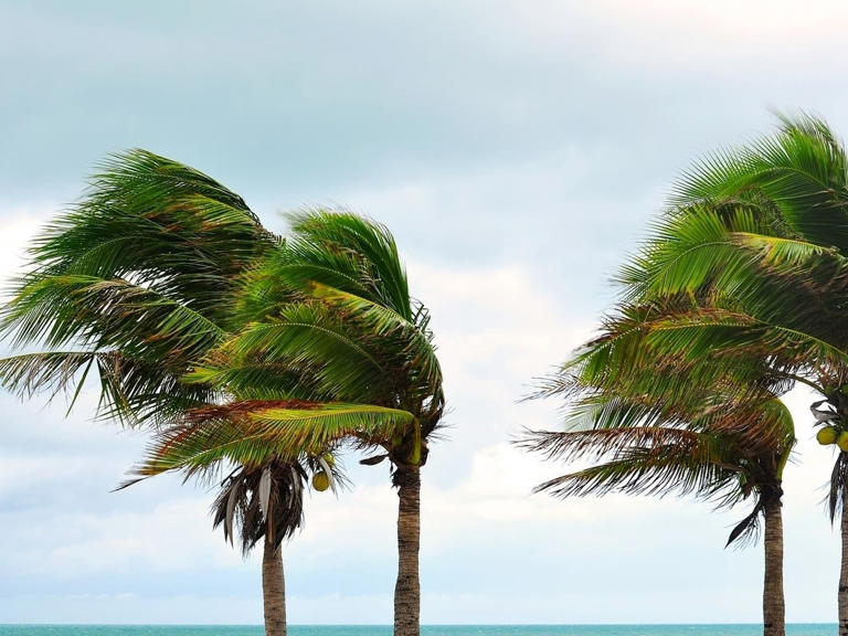 2 tornadoes touched down in Pasco County area: National Weather Service