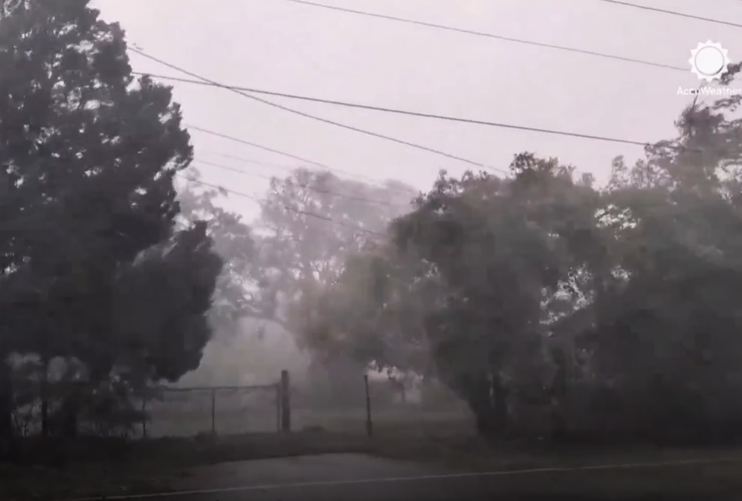 See video of whipping winds as 2 tornadoes touch down in Florida