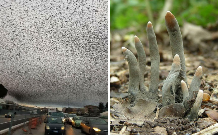 50 times nature made us say nope