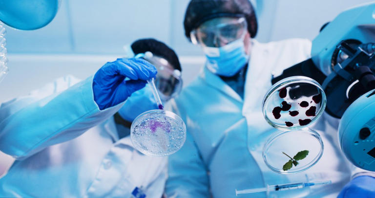 Three diseases that were renamed in the past 50 years—and why