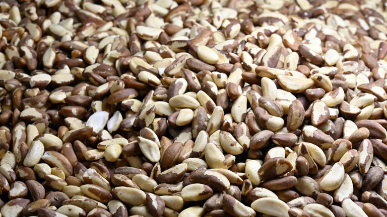 This seemingly healthy nut could be toxic