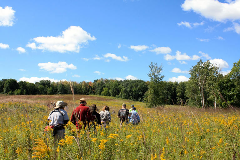 A hike through news about Wisconsin’s great outdoors
