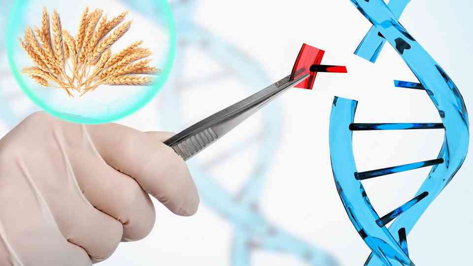 What scientists can now change in human DNA - and it’s moving fast