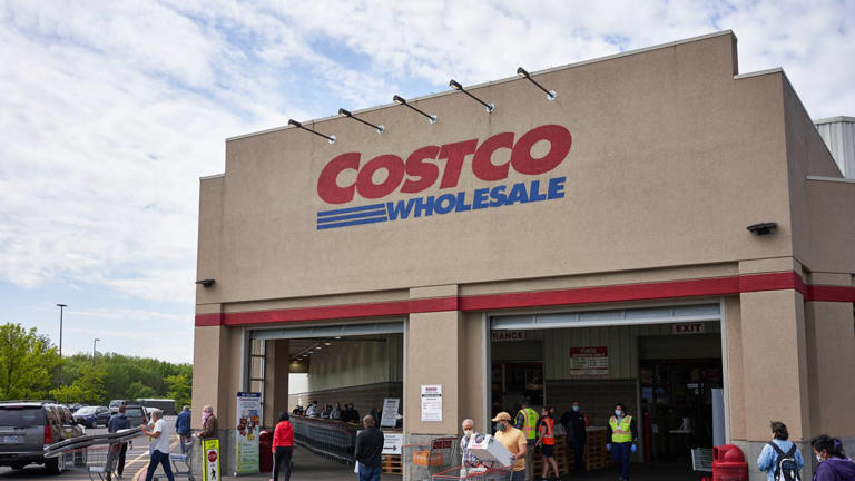 Costco's new $25 washing machine tablets are a lifesaver for pet parents